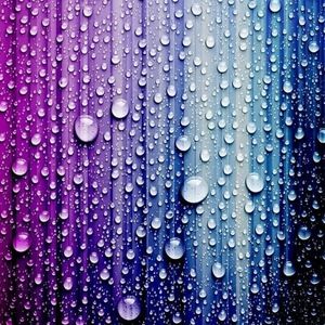 Meet your Posher, Alvin